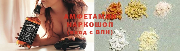 индика Богородицк