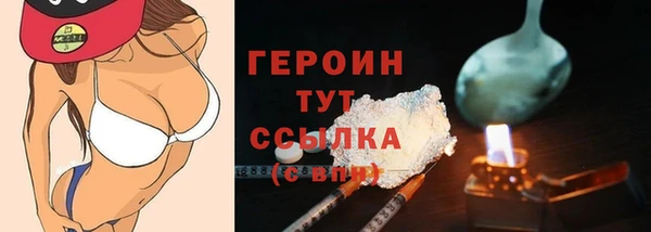 индика Богородицк