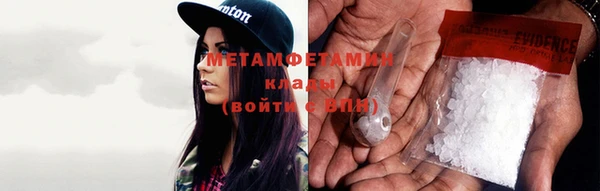 индика Богородицк