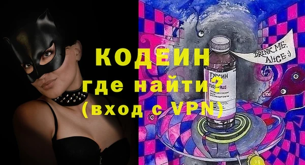 индика Богородицк