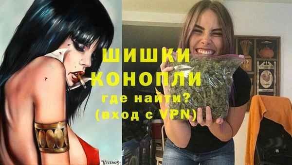 ПСИЛОЦИБИНОВЫЕ ГРИБЫ Богородск