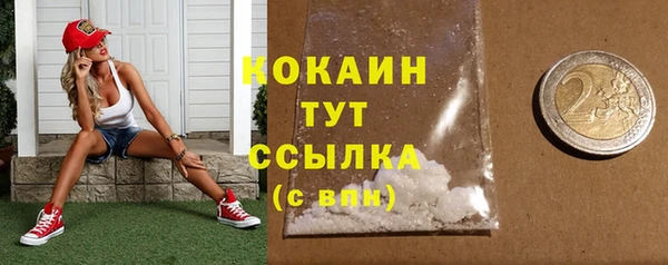 индика Богородицк