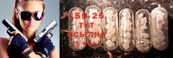 метадон Богданович