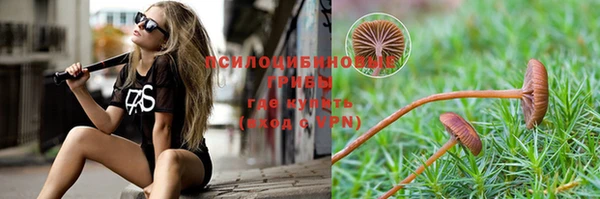 мескалин Белокуриха