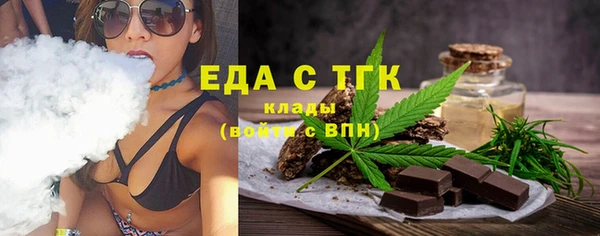 индика Богородицк