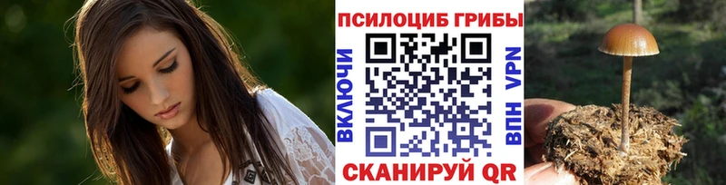 МЕГА ССЫЛКА  Беслан  Псилоцибиновые грибы GOLDEN TEACHER  где продают  